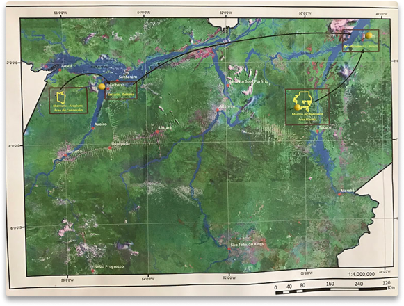 MAP OF BRAZIL LOGGING